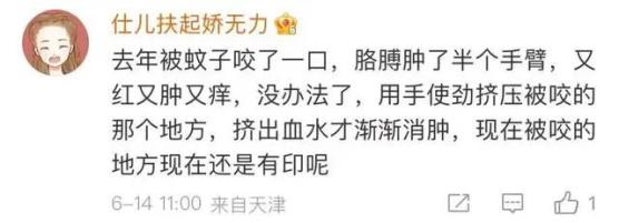 蚊子盯咬也会过敏？项目赶蚊第3招：挂只活鸡看管你